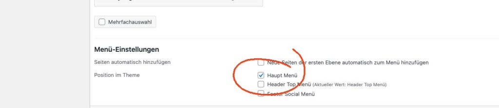 Menüeinstellung in WordPress